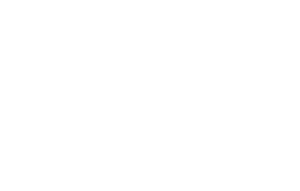 BFG Provisions
